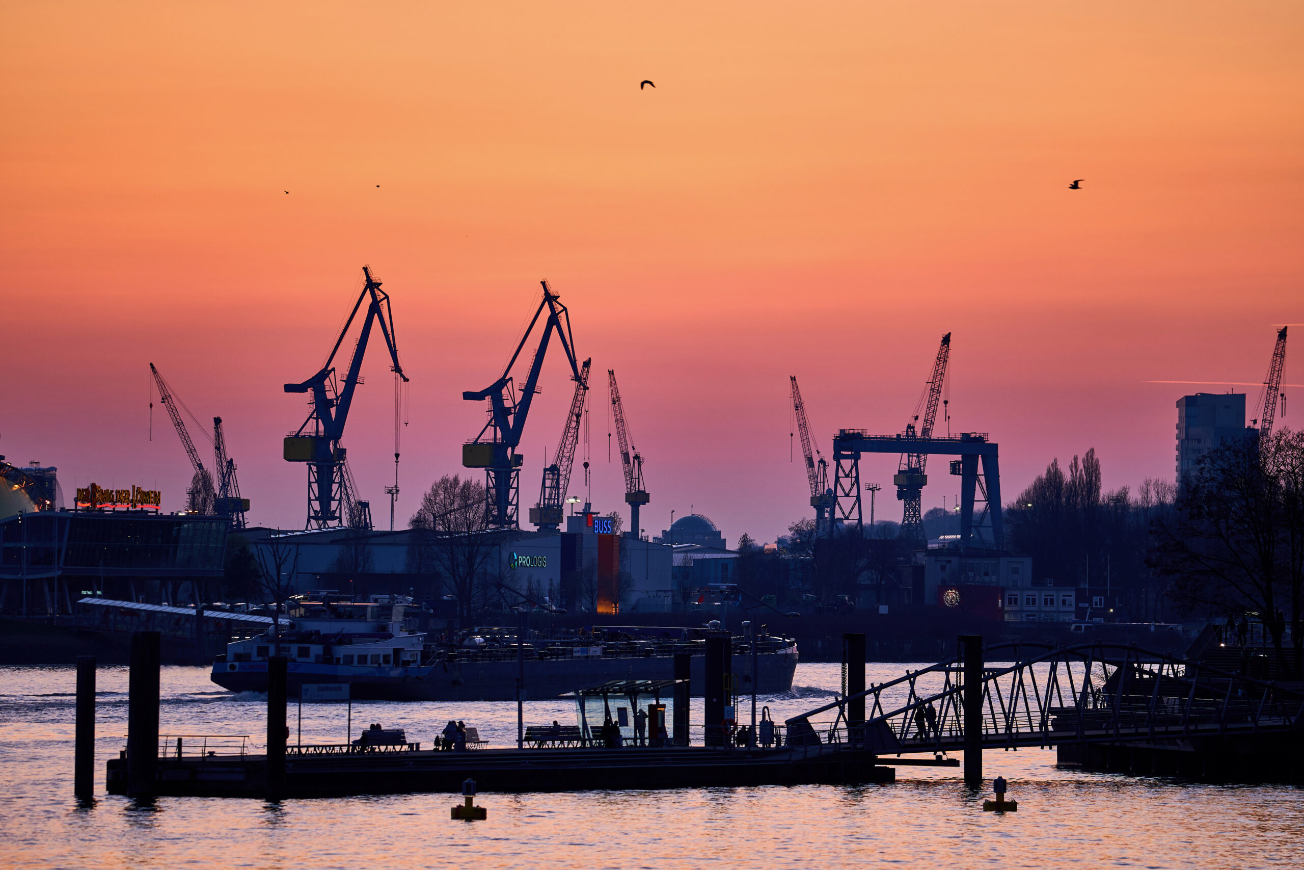 Hafenkräne bei Sonnenuntergang